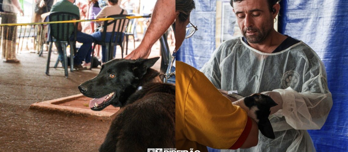 Foto de Capa